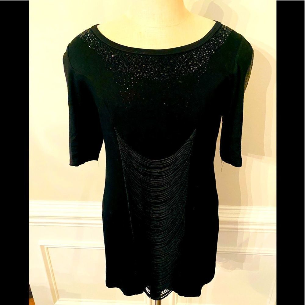 STUNNING! SIMON CHANG Sheer Lace Top